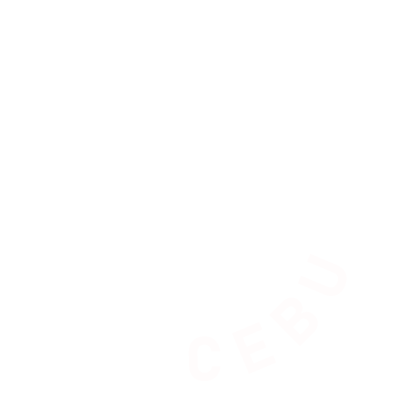 Diving Cebu